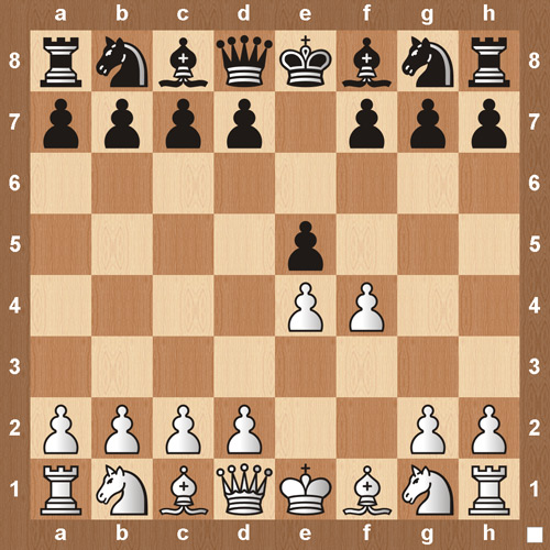 gambit – The Gambit Chess Player