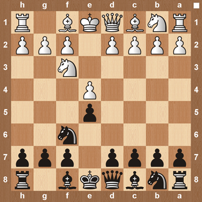 Chess Openings: Theory and Practice