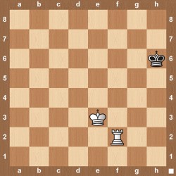 The Funniest Rook Moves Ever Played 